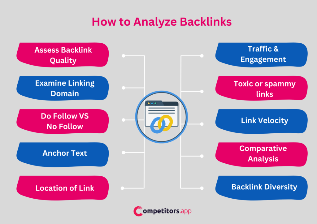 Easy Guide to SEO Myths for New Business Owners in Kerala -How to Analyze Backlink